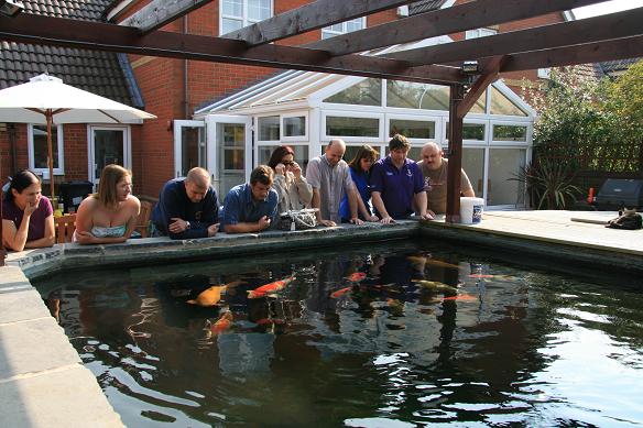 Darren's Pond.JPG