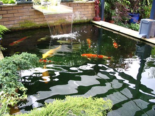 Les and Sue's  Pond.JPG