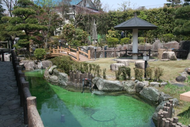 Koi _Museum_2.jpg