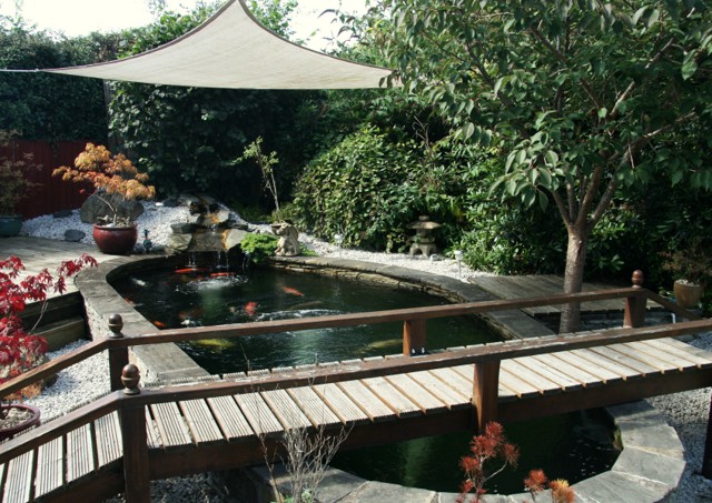 Pond_of_the_Year_1.JPG