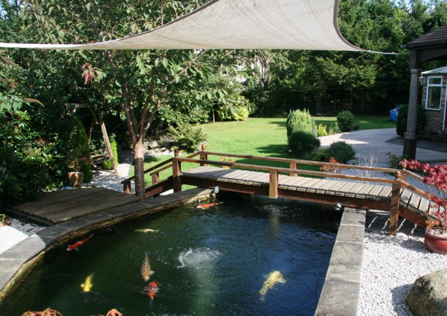 Pond_of_the_Year_2.JPG