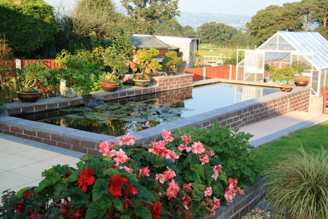 Pond_of_the_Year_7.JPG