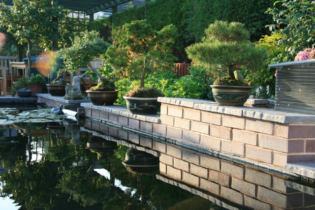 Pond_of_the_Year_9.JPG