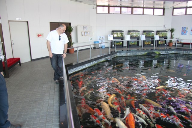 Koi Museum.jpg