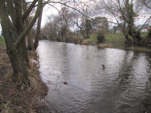 riverbank2.jpg