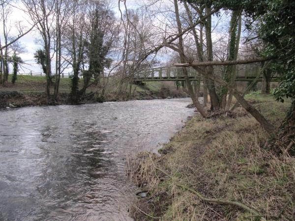 bridge2.jpg