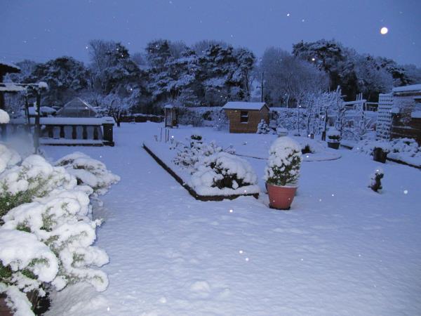winter 1.jpg