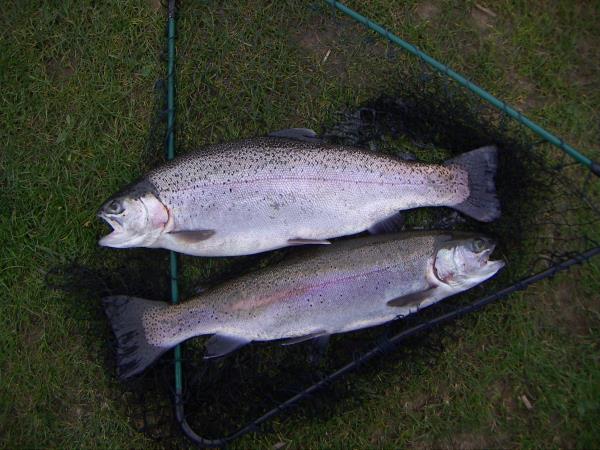 2 Snowdonia Rainbow.jpg