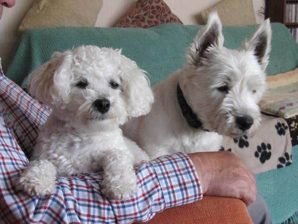 Lottie and Hamish.jpg