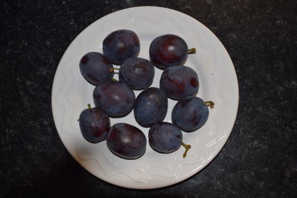 Last plums of 2017.jpg