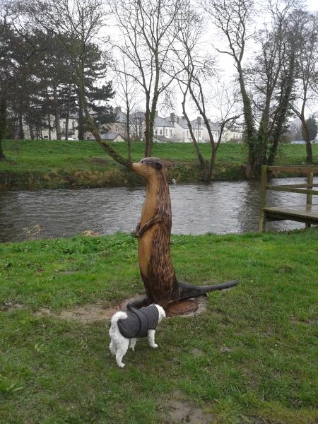 Merecat disguised as Otter 2.jpg