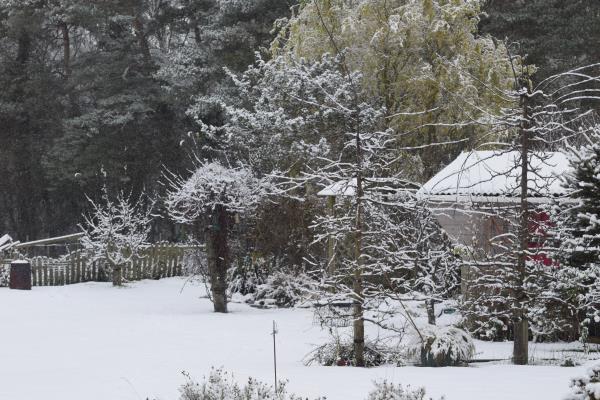 Summerhouse in snow 2018.jpg