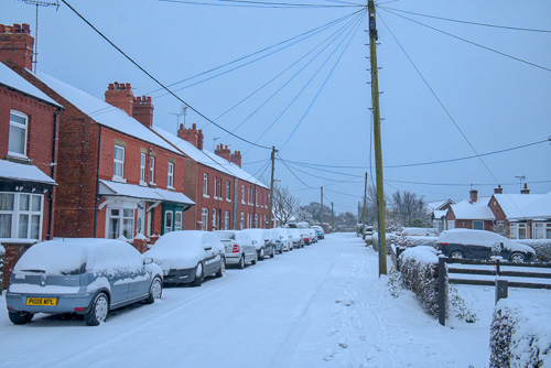 Rose Lane Snow.jpg