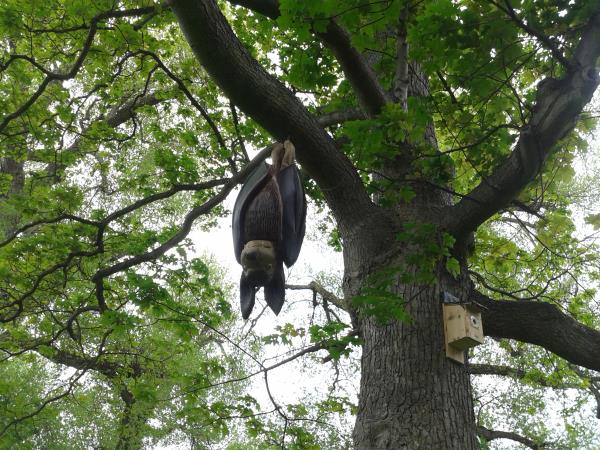 Just hanging out.jpg