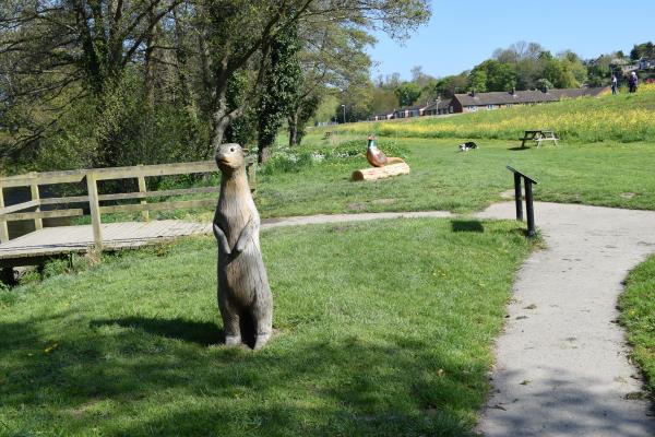 Wooden pheasant.jpg