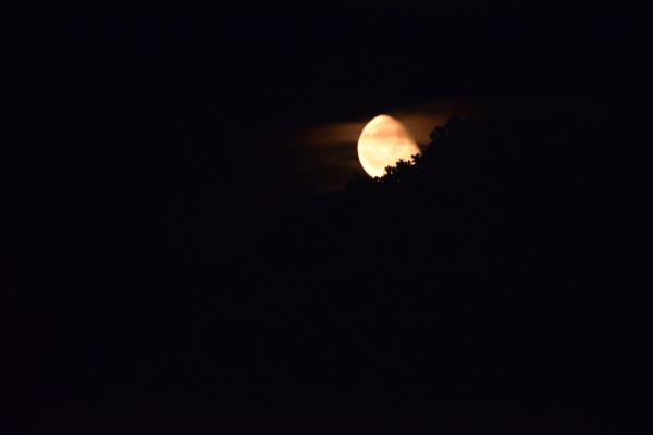 Harvest Moon.jpg