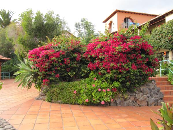 January Madeira.jpg