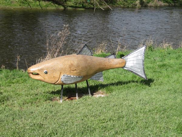 The Llan Elwy Salmon.jpg