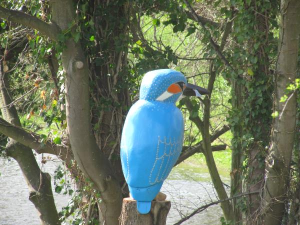 Elwy Kingfisher.jpg