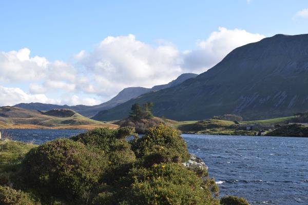 Llyn Cregennan - Cader Idris.jpg