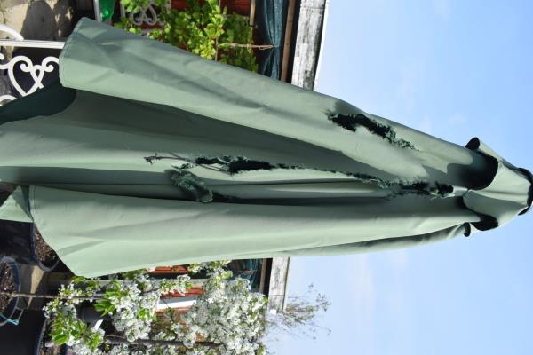 Rodent damage April 2020.jpg