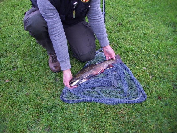 Nigels unusual catch Llandegla.jpg